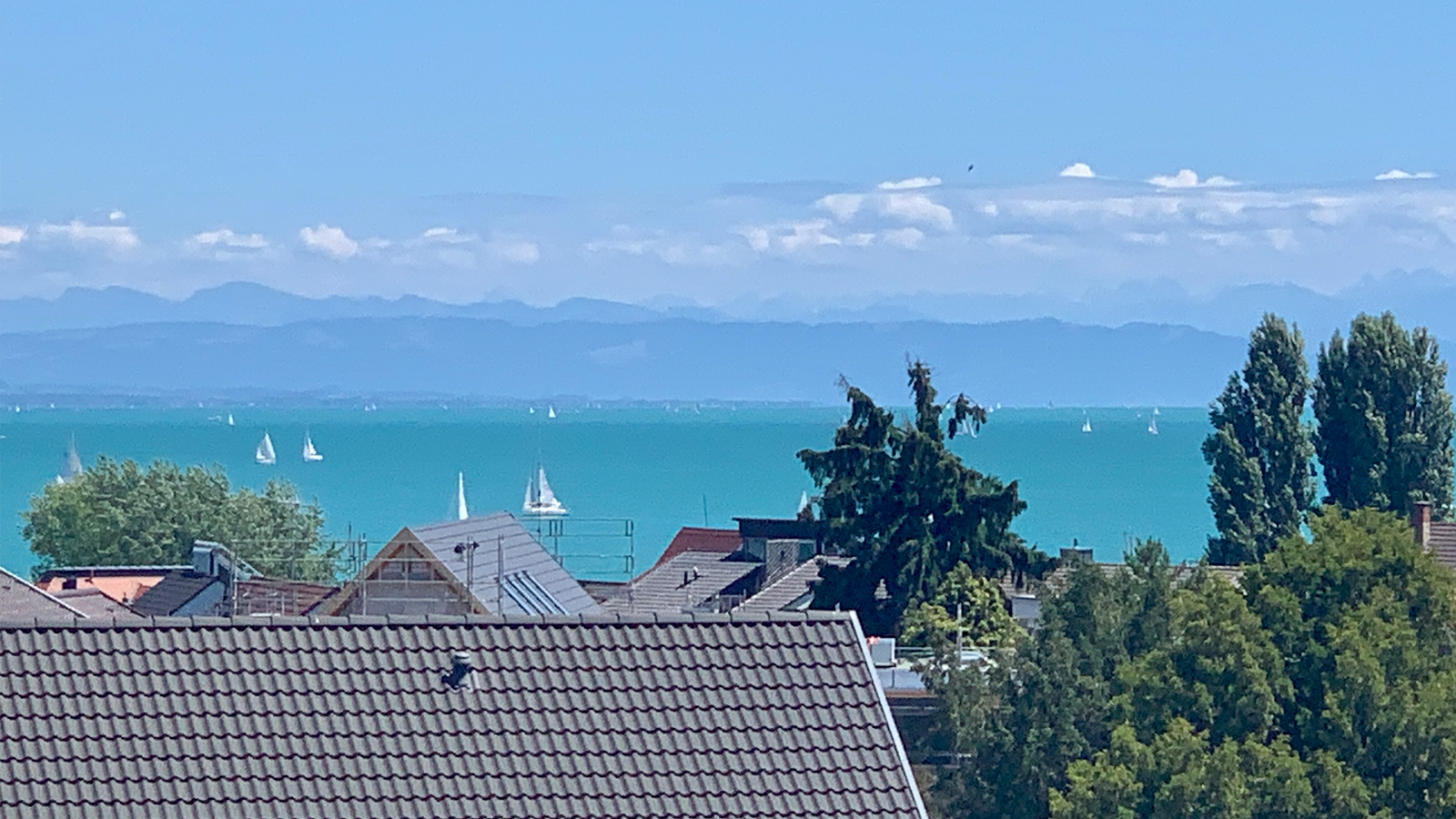 Panoramablick auf den türkisen Bodensee und die Alpen bei Konstanz