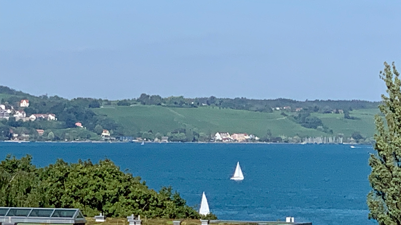 Blick auf den Bodensee mit Segelbooten bei Konstanz