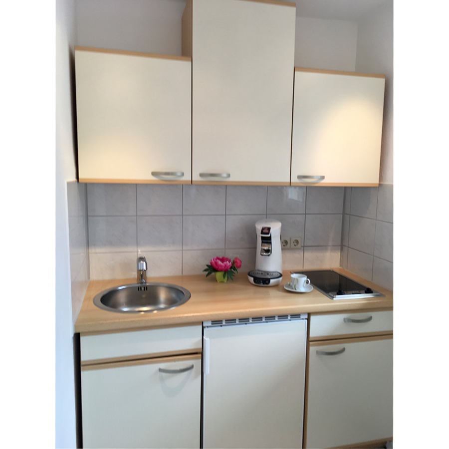 vollausgestattete Küche im Apartment „Zeit des Reisens“ in Konstanz am Bodensee