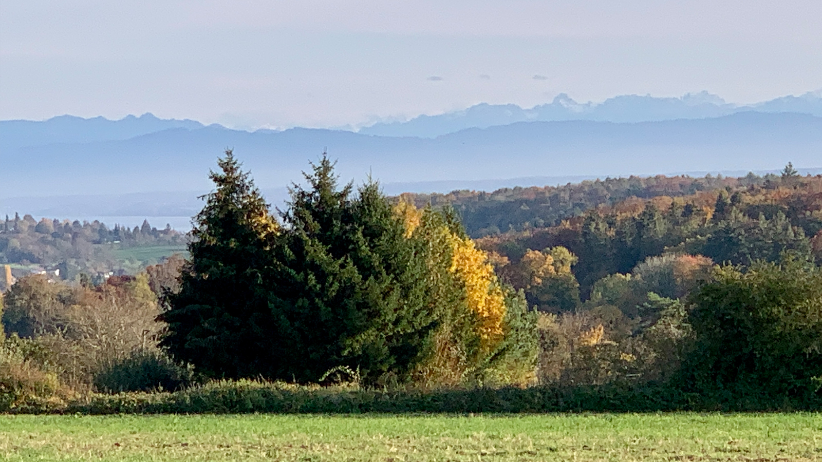 Ein gemütlicher Spaziergang erhellt den Geist